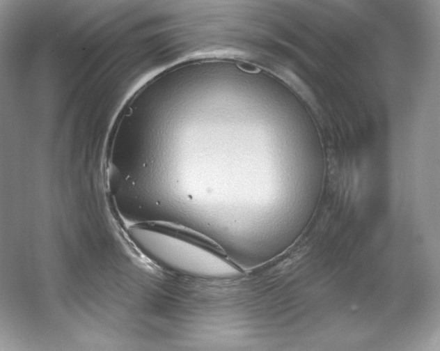 X0000067841044200604171148