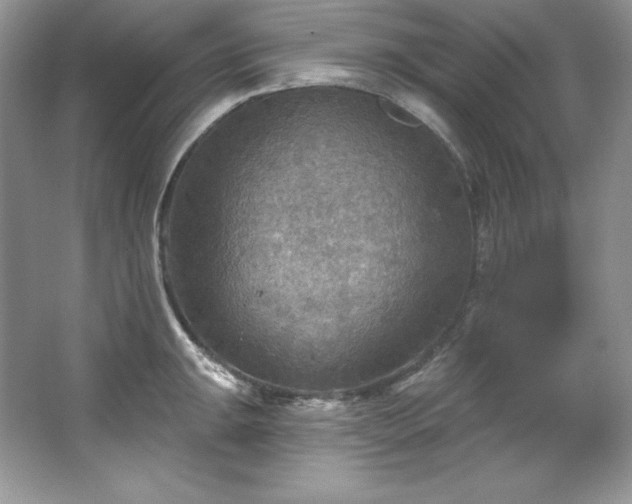 X0000067841047200604171148