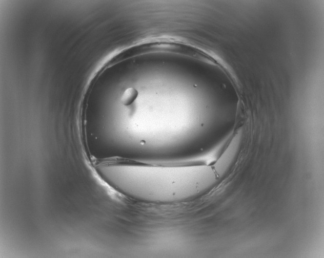 X0000067841054200604171148
