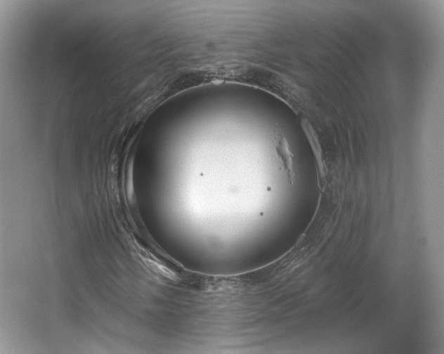 X0000067841058200604171147
