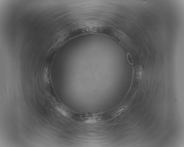 X0000067841060200604171147