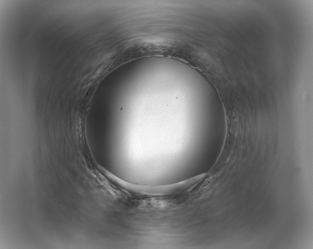X0000067841061200604171147