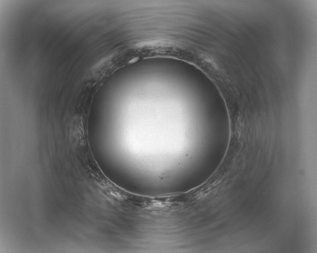 X0000067841062200604171147