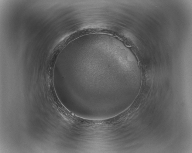 X0000067841064200604171147