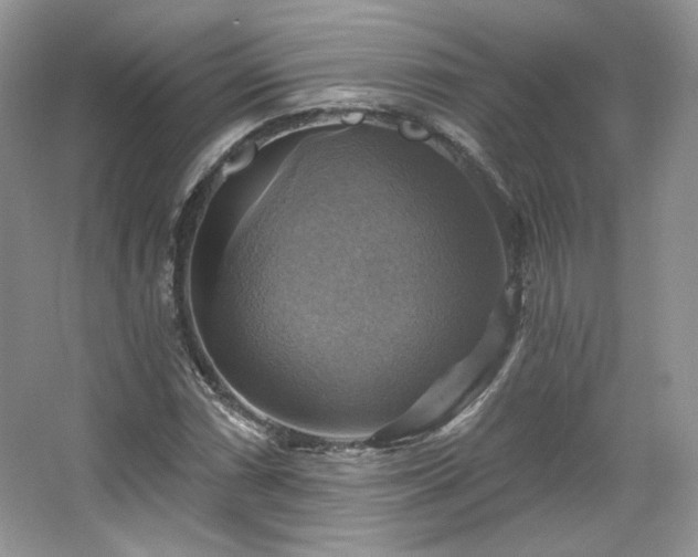 X0000067841066200604171147