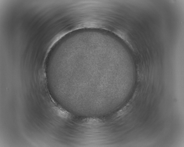 X0000067841070200604171147