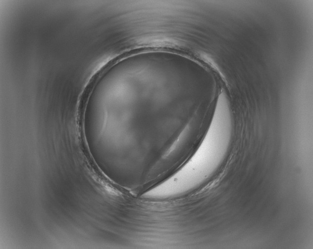 X0000067841071200604171147