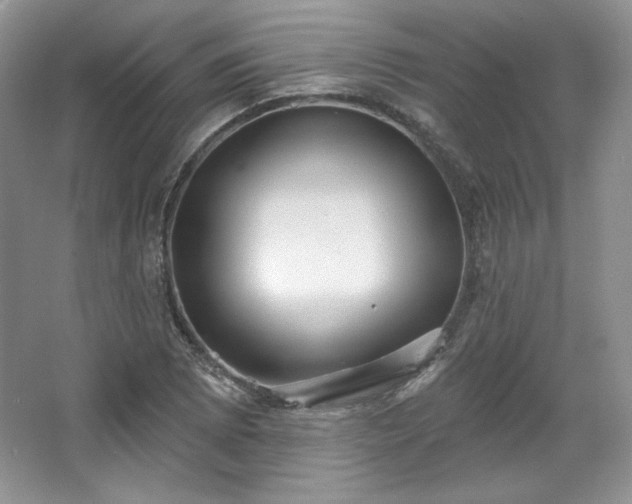 X0000067841073200604171147