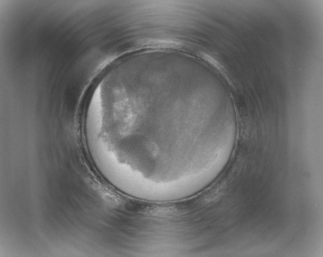 X0000067841074200604171147
