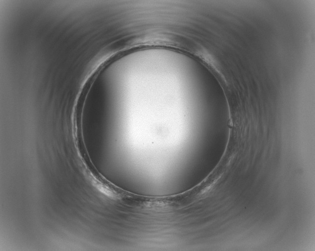 X0000067841082200604171146