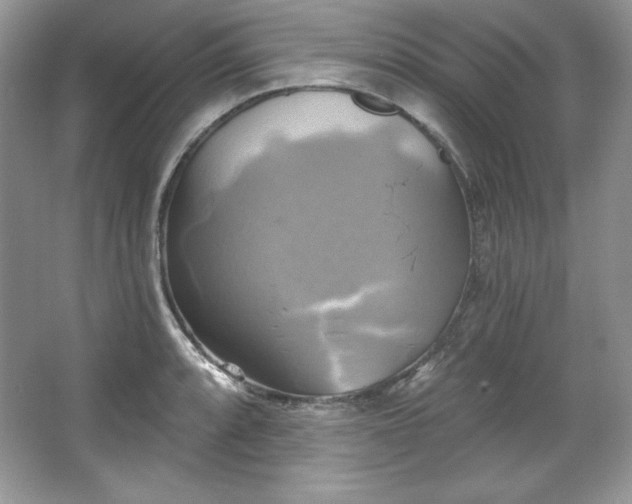 X0000067841088200604171146