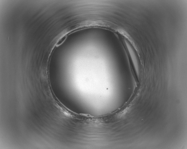 X0000067841089200604171146