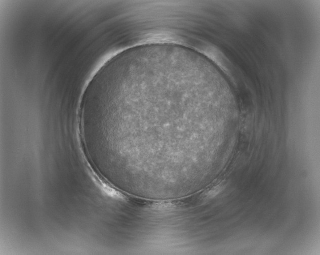 X0000067841094200604171146