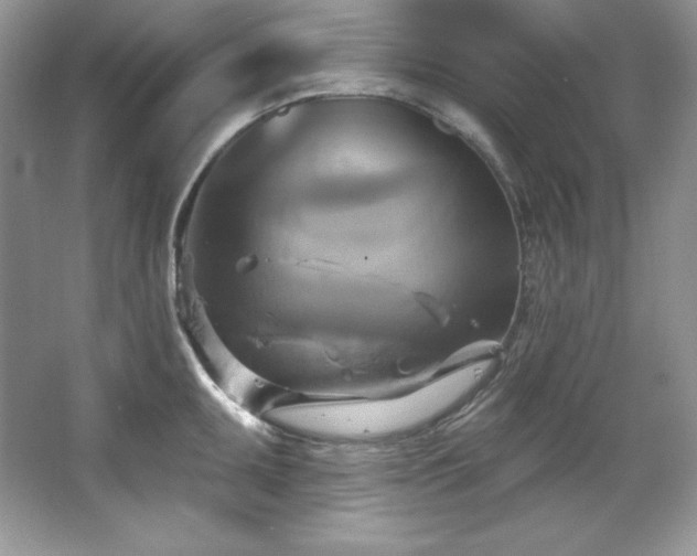 X0000067841095200604171146