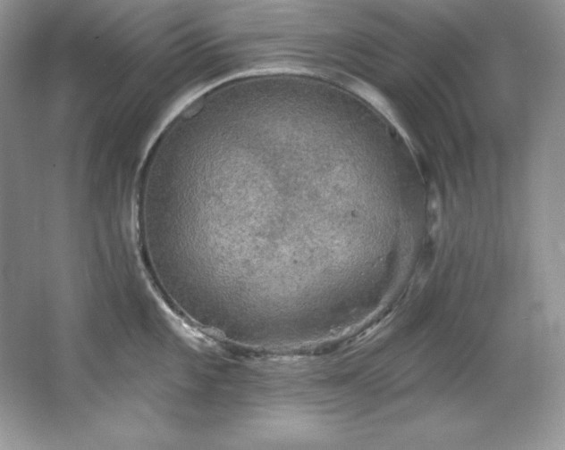 X0000067841101200604171146