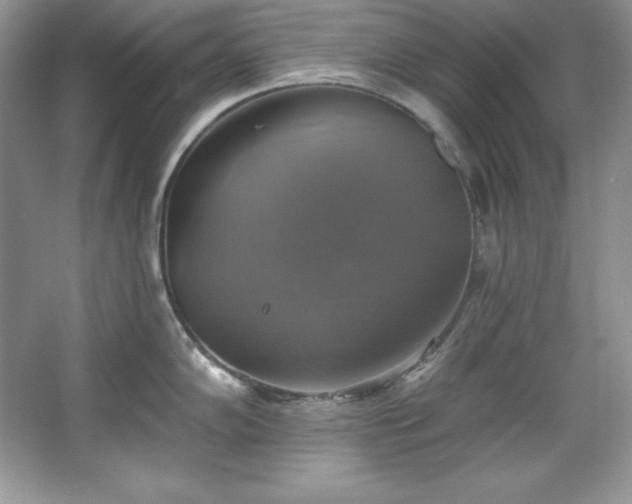 X0000067841102200604171146