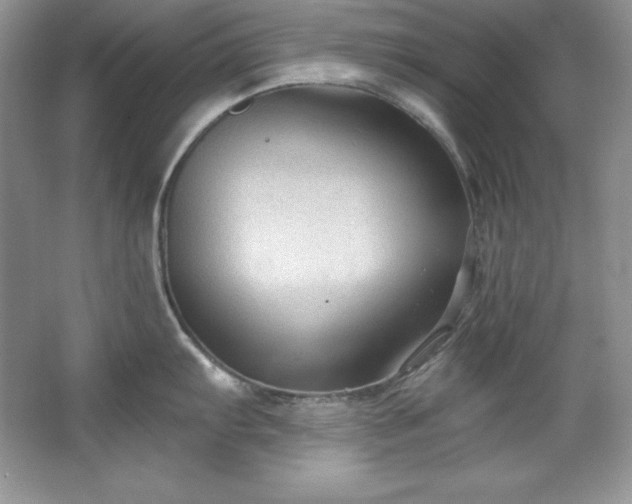 X0000067841103200604171146