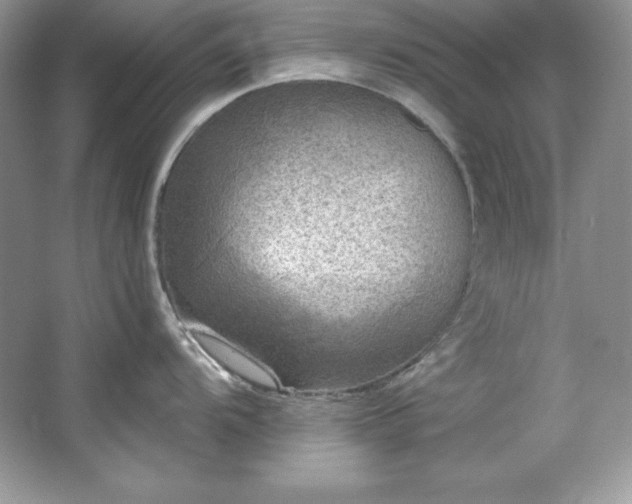 X0000067841104200604171146