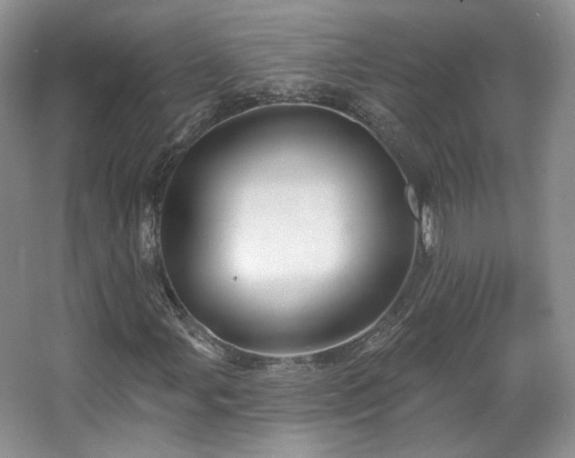 X0000067841107200604171145