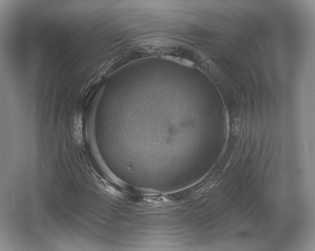 X0000067841108200604171145