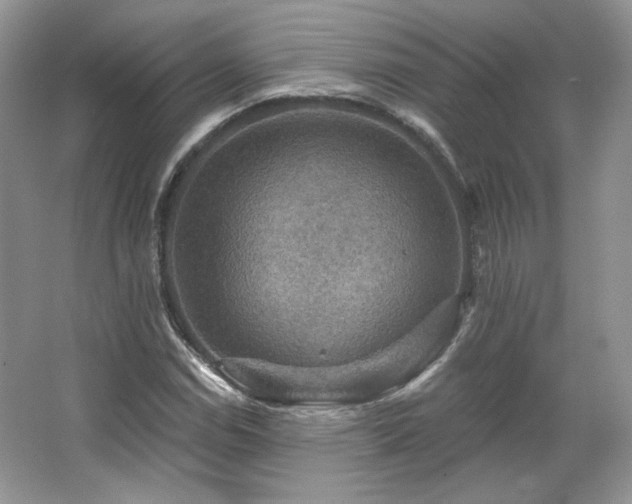 X0000067841114200604171145
