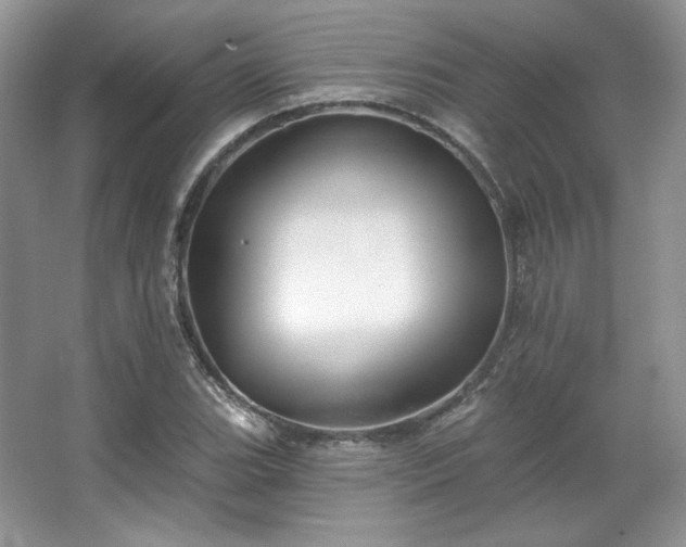 X0000067841119200604171146