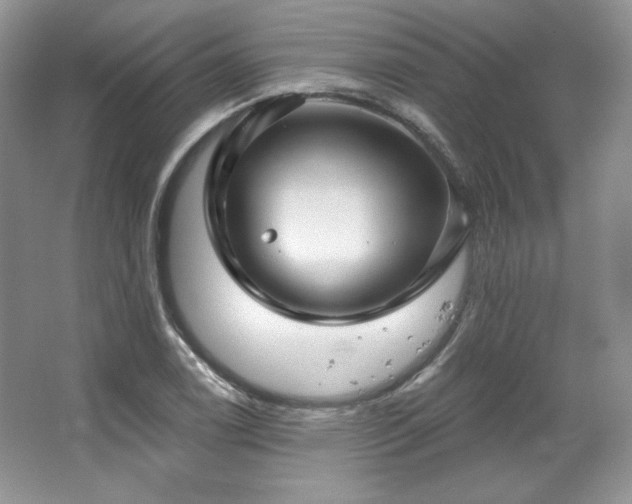 X0000067841122200604171146