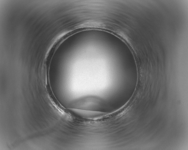 X0000067841123200604171146