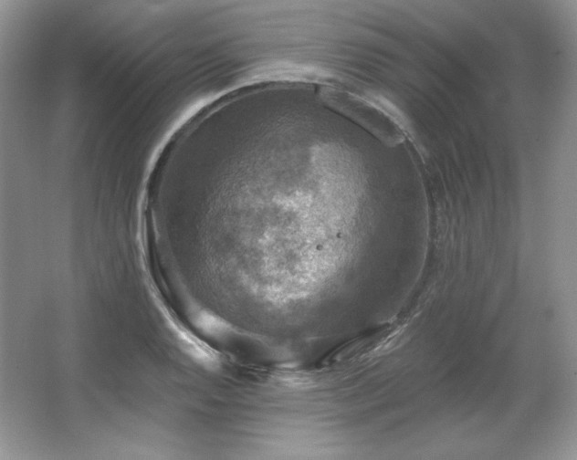 X0000067841128200604171146