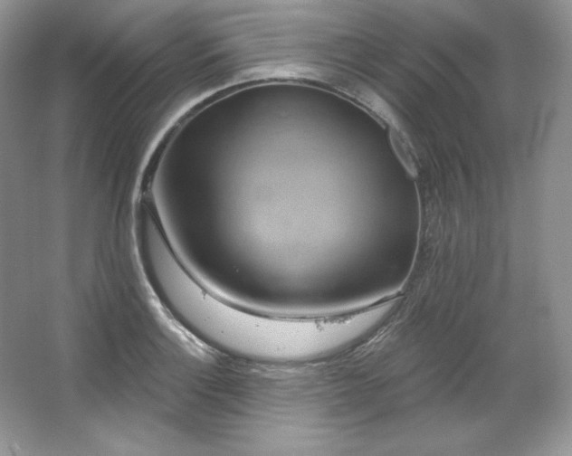 X0000067841132200604171146