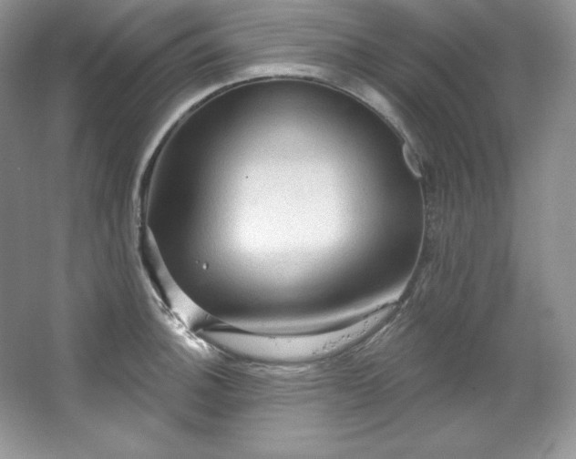 X0000067841140200604171146