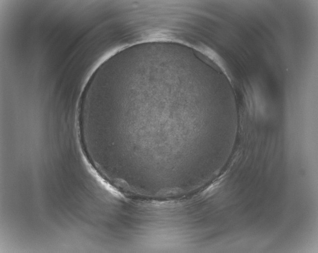 X0000067841142200604171146