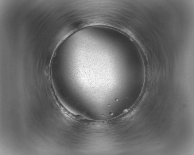 X0000067841145200604171146
