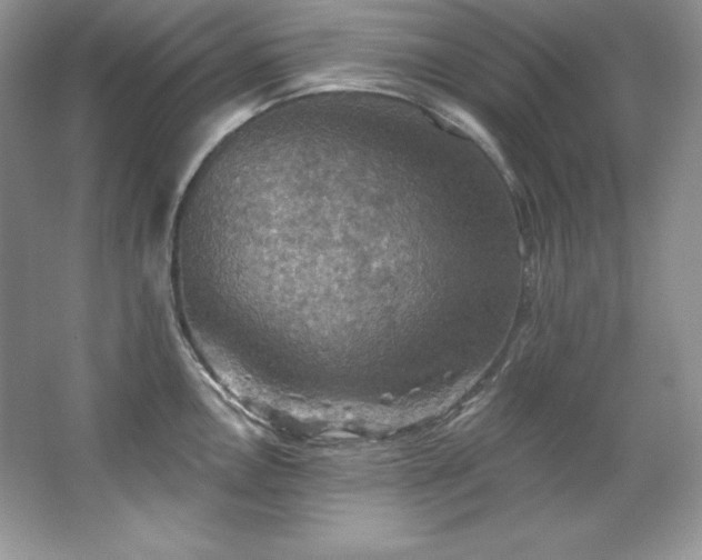 X0000067841146200604171146