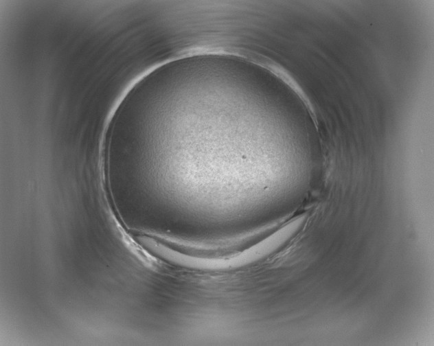 X0000067841148200604171146