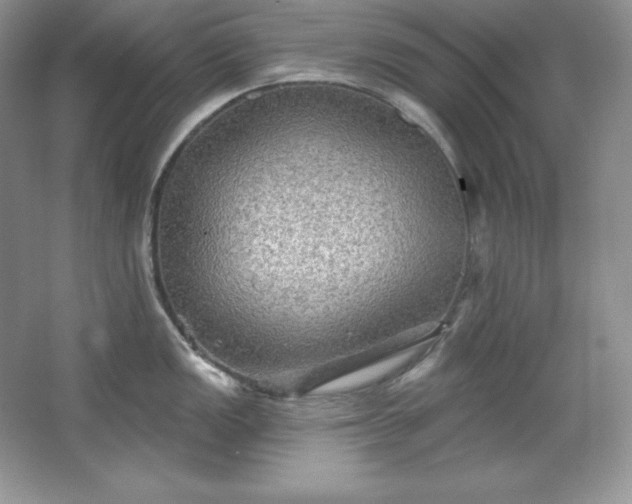 X0000067841149200604171146
