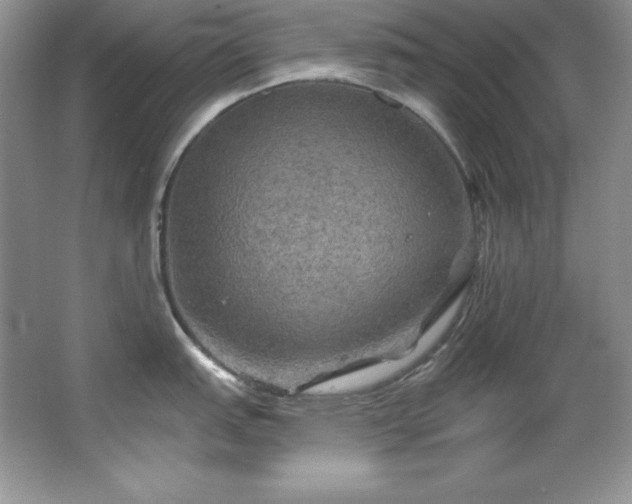X0000067841151200604171146