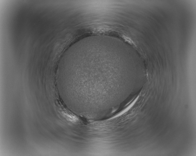 X0000067841153200604171145
