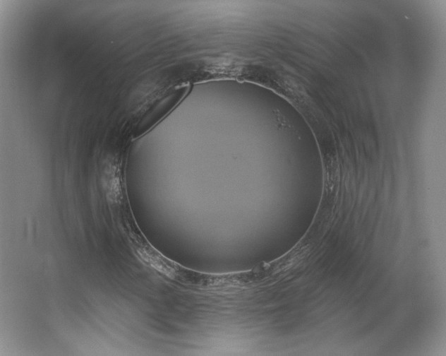 X0000067841154200604171145