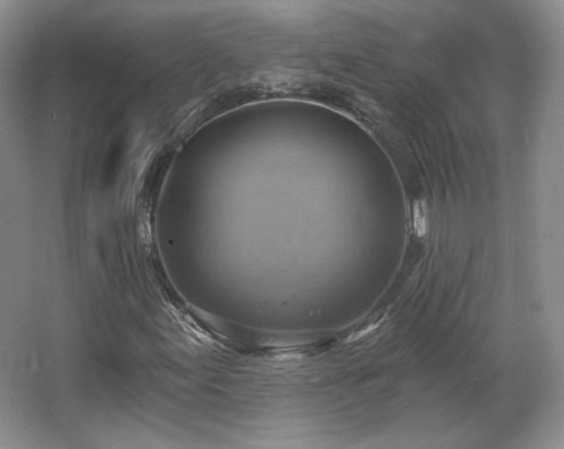 X0000067841155200604171145