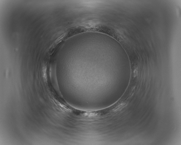 X0000067841156200604171145