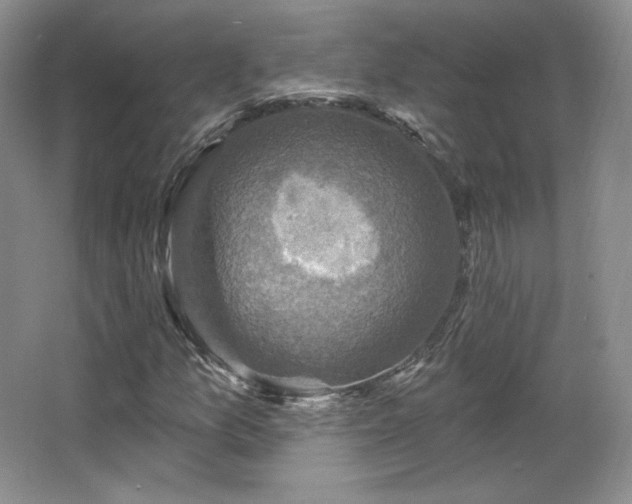 X0000067841157200604171145