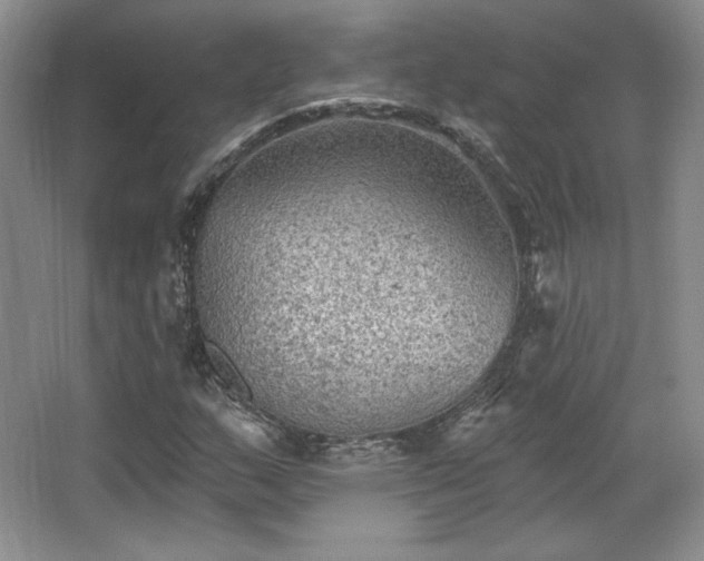 X0000067841159200604171145