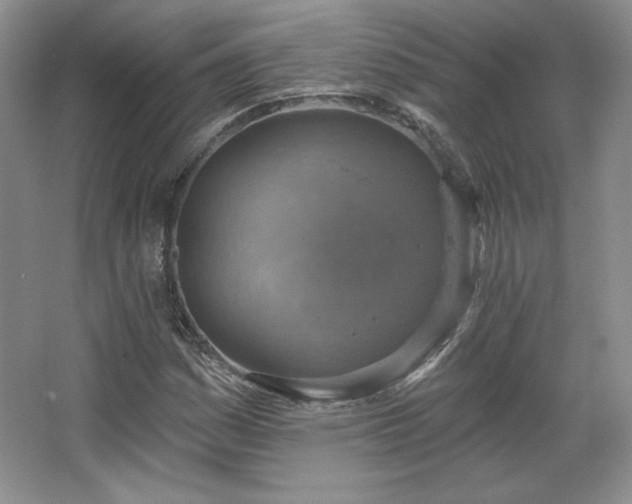 X0000067841161200604171145