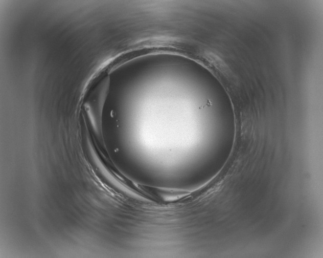 X0000067841164200604171145
