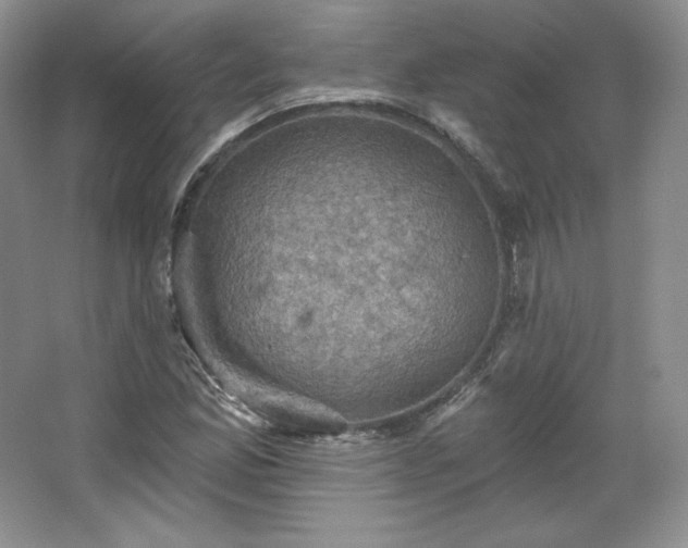 X0000067841165200604171145