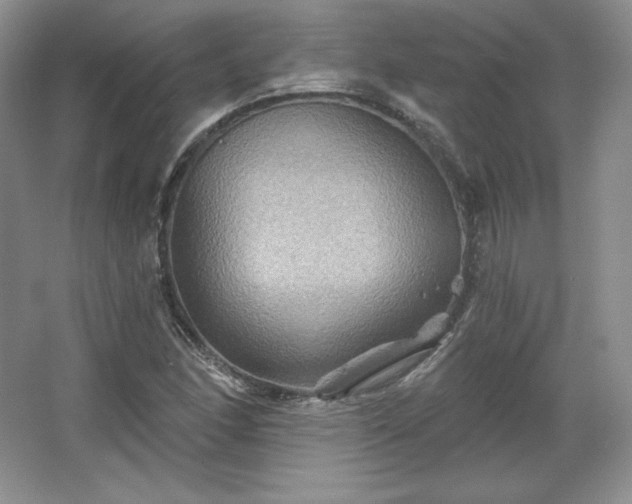 X0000067841166200604171145