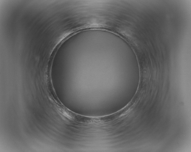 X0000067841170200604171145