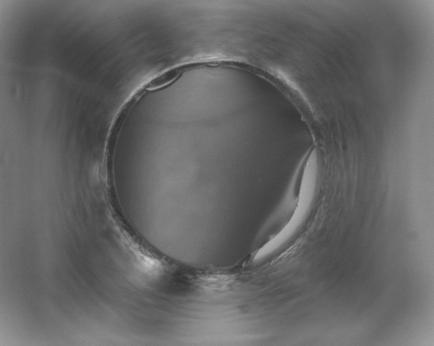 X0000067841173200604171145