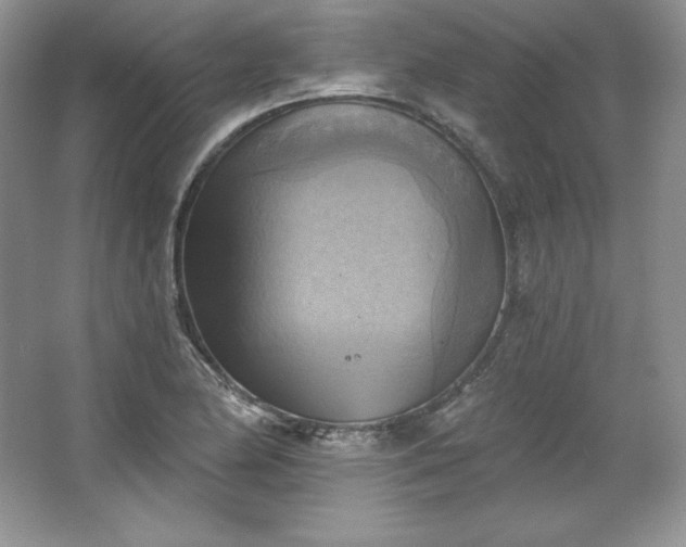 X0000067841174200604171145